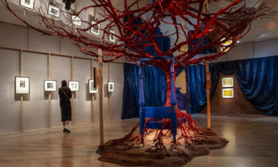 La muestra propone un diálogo entre artes visuales y escénicas, con instalaciones inspiradas en la escenografía de la ópera, entre ellas una cama azul atravesada por un árbol rojo que simboliza elementos recurrentes en la obra de Kahlo