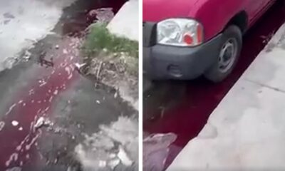 . De acuerdo con los reportes, en la banqueta y parte de la carpeta asfáltica se observaron manchas que aparentemente serían sangre humana.