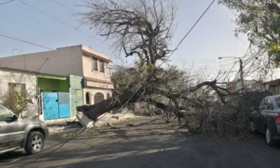 Entre las 00:00 y las 07:20 horas, el número de emergencias 9-1-1 recibió 249 reportes, principalmente por 145 incendios de pastizales, 45 árboles caídos, 35 cortocircuitos, 16 cables colgando y ocho postes en riesgo de colapsar.