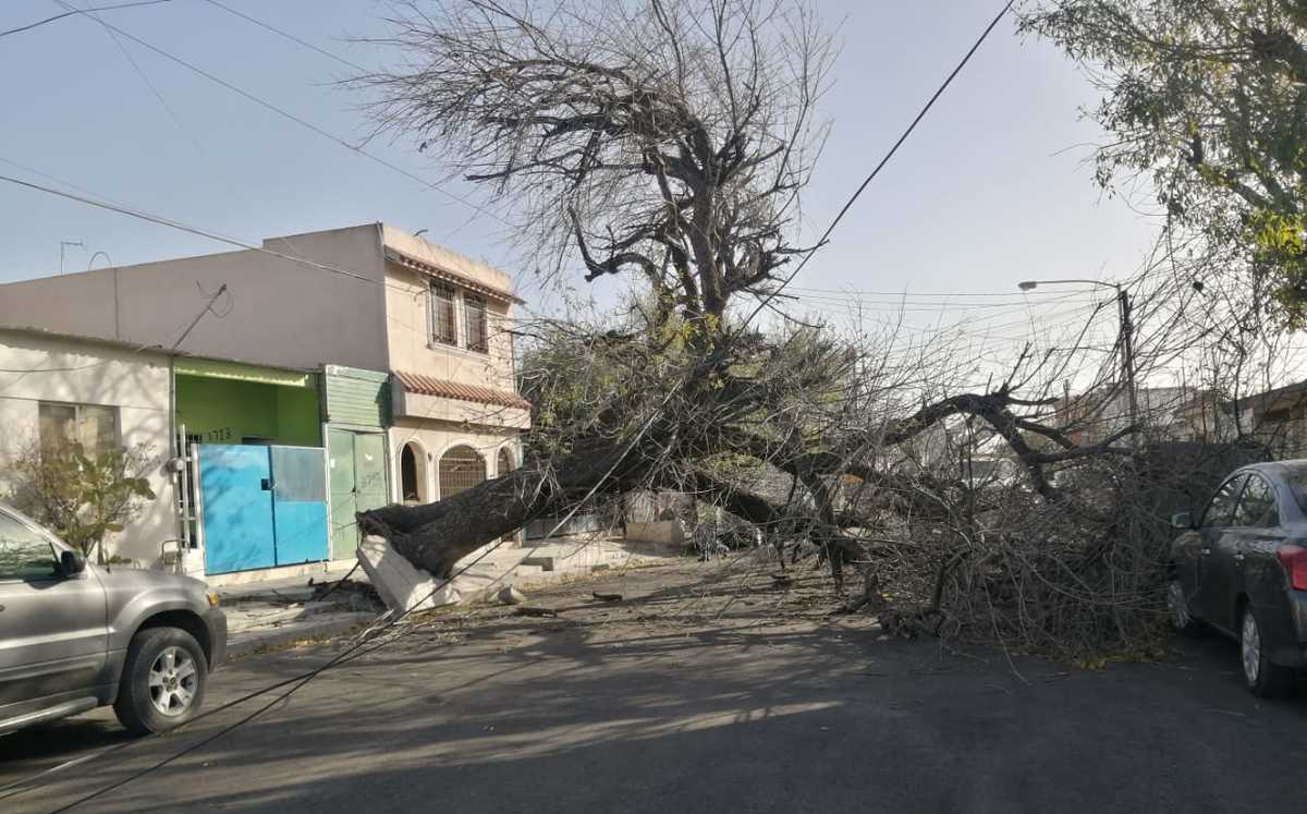 Entre las 00:00 y las 07:20 horas, el número de emergencias 9-1-1 recibió 249 reportes, principalmente por 145 incendios de pastizales, 45 árboles caídos, 35 cortocircuitos, 16 cables colgando y ocho postes en riesgo de colapsar.