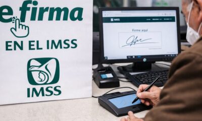 El cambio fue anunciado tras la publicación de un acuerdo en el Diario Oficial de la Federación el 24 de febrero de 2026, donde se establecen nuevas reglas para simplificar y digitalizar distintos procesos dentro del instituto.