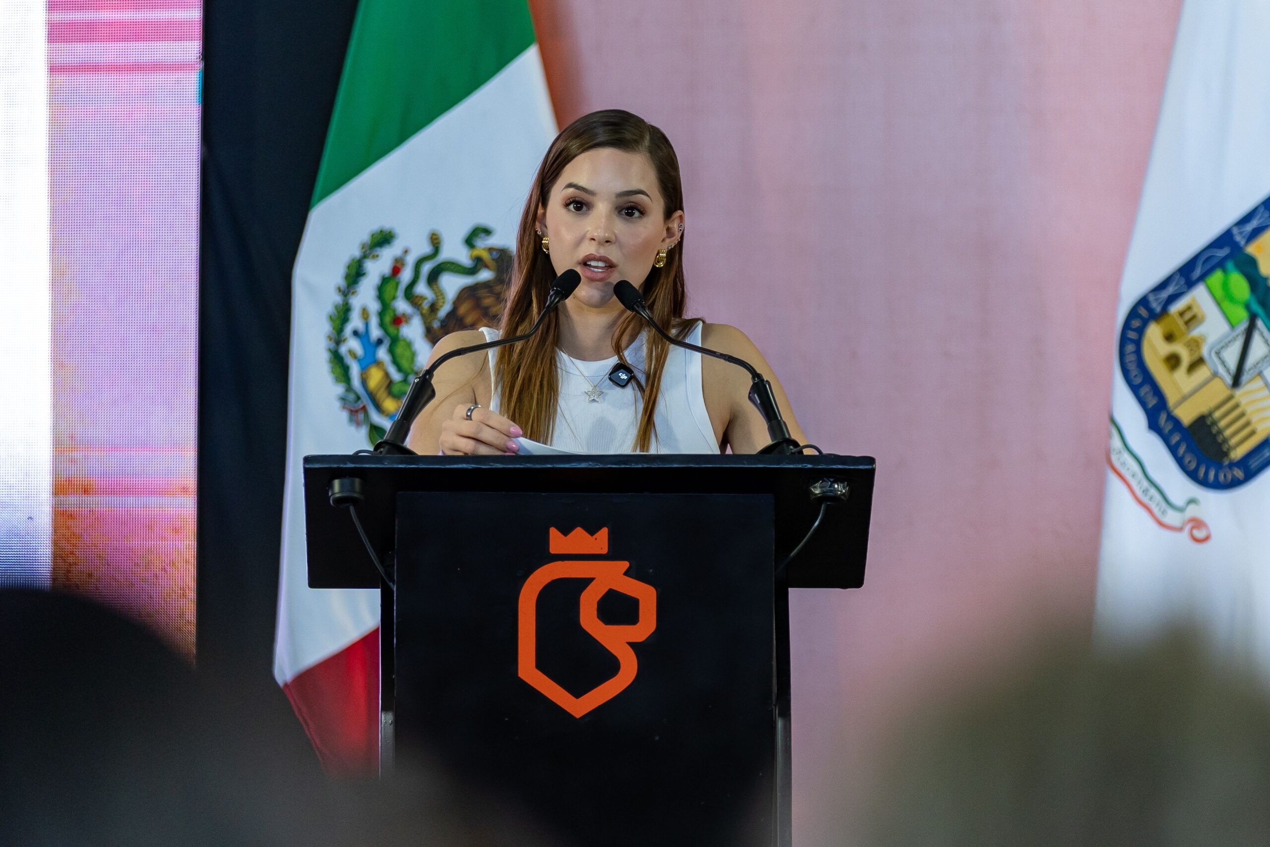 De acuerdo con la diputada, en algunos actos públicos Rodríguez Cantú ha emitido mensajes de carácter político, incluso responsabilizando a legisladores de oposición por el retraso en la aprobación del Presupuesto 2026