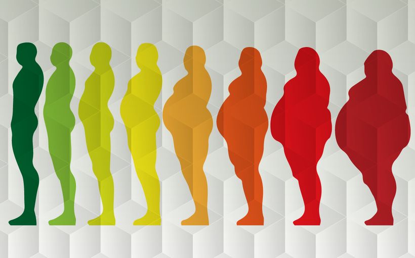 De acuerdo con la Organización Mundial de la Salud (OMS), la obesidad se ha triplicado en el mundo desde 1975 y actualmente más de mil millones de personas viven con esta condición.