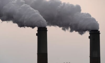 De acuerdo con los estudios, una proporción significativa de niños presenta presencia del metal, lo que ha generado preocupación por el entorno ambiental e industrial en el área metropolitana.