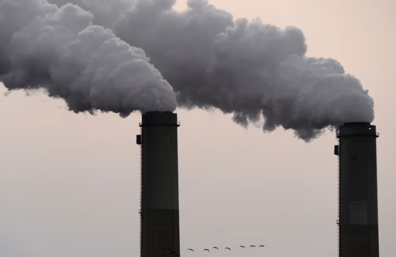 De acuerdo con los estudios, una proporción significativa de niños presenta presencia del metal, lo que ha generado preocupación por el entorno ambiental e industrial en el área metropolitana.