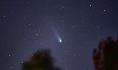 Los mejores días para observar el fenómeno serán durante los primeros 20 días de abril, aunque el momento ideal para México sería el próximo 17 de abril, mientras que su perihelio está previsto para el día 19.