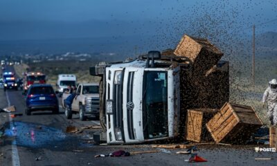 Elementos de Protección Civil de Doctor Arroyo acudieron al lugar para atender la emergencia y coordinar las labores necesarias para reducir riesgos