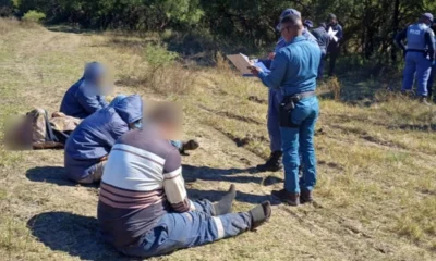 El hallazgo fue resultado de un operativo coordinado entre unidades de Inteligencia Criminal, grupos especializados en crimen organizado y la Dirección de Investigación de Delitos Prioritarios.