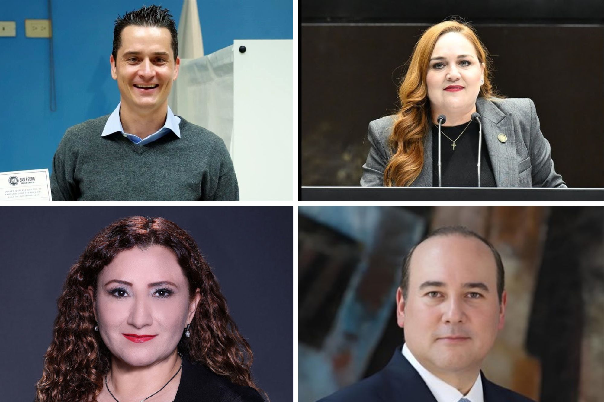El dirigente reiteró que el PAN apostará por perfiles identificados plenamente con los principios del partido y con capacidad