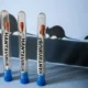 La funcionaria explicó que no existe evidencia de transmisión entre personas asintomáticas, pero insistió en mantener vigilancia médica constante.