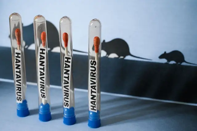 La funcionaria explicó que no existe evidencia de transmisión entre personas asintomáticas, pero insistió en mantener vigilancia médica constante.