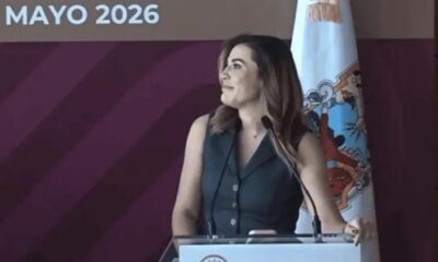 De acuerdo con la Comisión Federal de Electricidad, la falla ocurrió por la caída de una rama sobre la red eléctrica, afectando tanto al Palacio de Gobierno estatal como al municipal.
