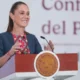 La propuesta ha generado debate debido a que especialistas y sectores de oposición advierten que algunas causales podrían abrir espacio a interpretaciones discrecionales por parte del Tribunal Electoral