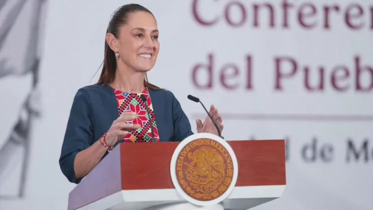 La propuesta ha generado debate debido a que especialistas y sectores de oposición advierten que algunas causales podrían abrir espacio a interpretaciones discrecionales por parte del Tribunal Electoral