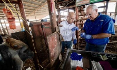 Hernández Vidal destacó que el hallazgo no representa un motivo de alarma, aunque sí subraya la importancia de mantener vigilancia epidemiológica y continuar las investigaciones para entender el comportamiento de estos virus.
