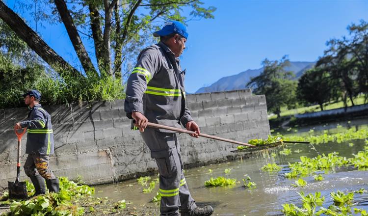 El edil señaló que las labores de contención se realizan en coordinación con asociaciones civiles y Agua y Drenaje de Monterrey; sin embargo, insistió en que es indispensable la participación de autoridades federales
