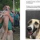 Mientras veía el video difundido en redes sociales, la dueña reconoció a su mascota cuando un aficionado la cargó y la levantó frente a la cámara como parte de la celebración