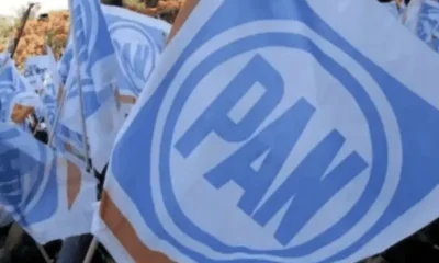 La caída representa uno de los peores resultados para el PAN en la entidad, luego de que en años anteriores alcanzara porcentajes cercanos al 30 por ciento de la votación