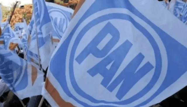 La caída representa uno de los peores resultados para el PAN en la entidad, luego de que en años anteriores alcanzara porcentajes cercanos al 30 por ciento de la votación