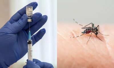 Entre los biológicos contemplados se encuentra QDENGA, una vacuna desarrollada en Japón que ya cuenta con registro sanitario por parte de Cofepris y cuya inclusión en el Compendio Nacional de Insumos continúa en análisis