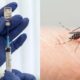 Entre los biológicos contemplados se encuentra QDENGA, una vacuna desarrollada en Japón que ya cuenta con registro sanitario por parte de Cofepris y cuya inclusión en el Compendio Nacional de Insumos continúa en análisis