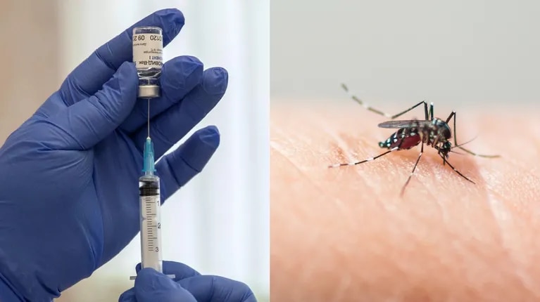 Entre los biológicos contemplados se encuentra QDENGA, una vacuna desarrollada en Japón que ya cuenta con registro sanitario por parte de Cofepris y cuya inclusión en el Compendio Nacional de Insumos continúa en análisis