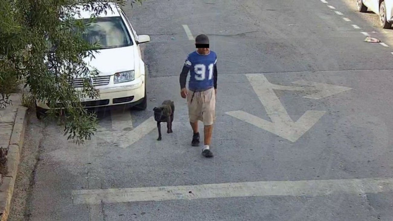 Tras controlar la situación, los oficiales detuvieron al hombre y solicitaron la intervención de personal de Salud y Bienestar Animal de Monterrey, que aseguró a los dos perros para su resguardo