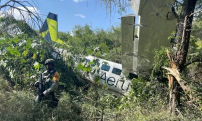 El director de Protección Civil de Nuevo León, Erik Cavazos Cavazos, informó que la aeronave tipo Cessna había despegado de Piedras Negras, Coahuila, con destino a Monterrey, cuando sufrió el percance a pocos kilómetros de llegar a su destino.