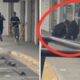 Aunque inicialmente logró esquivar a varios ciudadanos, tres habitantes del sector se sumaron a la persecución y consiguieron derribarlo. La intervención permitió que los agentes alcanzaran al hombre y concretaran su detención.