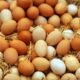 La medida incluye huevos blancos y marrones de gallinas libres, distribuidos entre el 6 de junio y el 3 de julio de 2026, con fechas de consumo preferente del 20 de julio al 17 de agosto.