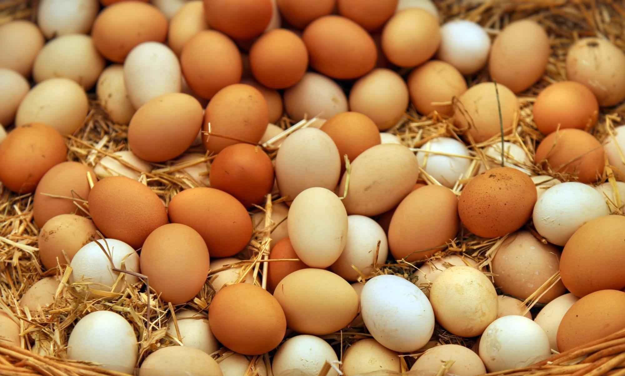 La medida incluye huevos blancos y marrones de gallinas libres, distribuidos entre el 6 de junio y el 3 de julio de 2026, con fechas de consumo preferente del 20 de julio al 17 de agosto.