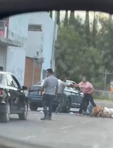 Videos difundidos en redes sociales muestran a los involucrados intercambiando golpes y empujones.