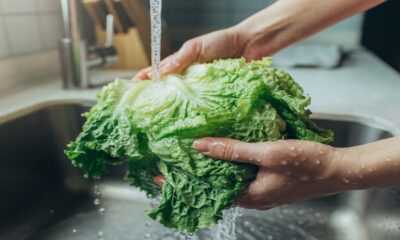 En medio de la emergencia sanitaria, siete personas presentaron una demanda contra Taco Bell y Taylor Fresh Foods ante un tribunal federal de Detroit.