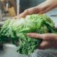 En medio de la emergencia sanitaria, siete personas presentaron una demanda contra Taco Bell y Taylor Fresh Foods ante un tribunal federal de Detroit.