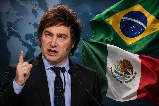 Las declaraciones aumentaron la tensión diplomática con Brasil, cuyo Ministerio de Relaciones Exteriores llamó a consultas a su embajador en Argentina, Julio Bitelli.