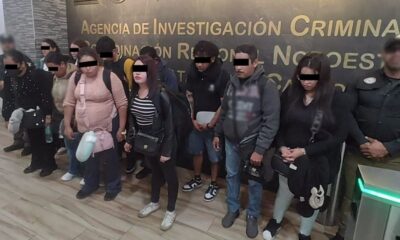Los detenidos fueron informados de sus derechos y puestos a disposición del Ministerio Público Federal, que determinará su situación jurídica.