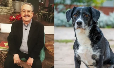 Pedro Sola también afirmó que nunca sería capaz de hacer daño a un animal y aseguró sentirse avergonzado por el impacto que generaron sus declaraciones