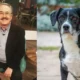 Pedro Sola también afirmó que nunca sería capaz de hacer daño a un animal y aseguró sentirse avergonzado por el impacto que generaron sus declaraciones