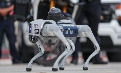 Los dispositivos, pertenecientes al nuevo Escuadrón Canino Tecnológico de Seguridad Pública, cuentan con cámaras de alta definición y visión nocturna.