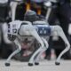 Los dispositivos, pertenecientes al nuevo Escuadrón Canino Tecnológico de Seguridad Pública, cuentan con cámaras de alta definición y visión nocturna.