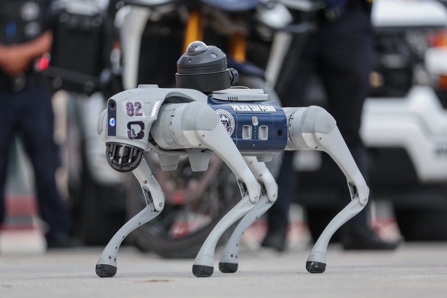 Los dispositivos, pertenecientes al nuevo Escuadrón Canino Tecnológico de Seguridad Pública, cuentan con cámaras de alta definición y visión nocturna.