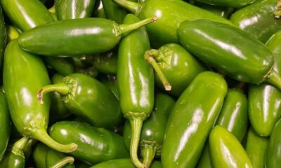 De acuerdo con autoridades de Estados Unidos, el brote de Salmonella Javiana acumula 345 casos en 27 estados y 36 hospitalizaciones, sin muertes reportadas