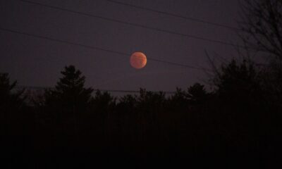El eclipse pudo seguirse desde amplias zonas del continente americano y Europa, además de algunas regiones africanas.