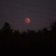 El eclipse pudo seguirse desde amplias zonas del continente americano y Europa, además de algunas regiones africanas.