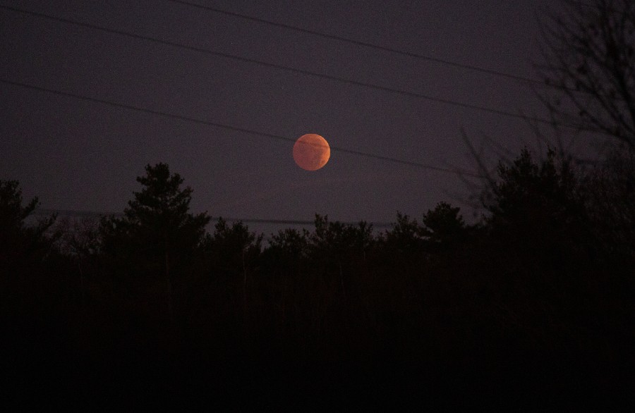 El eclipse pudo seguirse desde amplias zonas del continente americano y Europa, además de algunas regiones africanas.