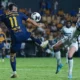 Ahora, los felinos dependerán de una complicada combinación de resultados para mantenerse con vida en el torneo binacional.