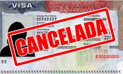 Pigott señaló que la actividad delictiva constituye la principal causa de las cancelaciones.