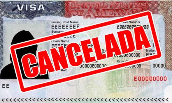 Pigott señaló que la actividad delictiva constituye la principal causa de las cancelaciones.