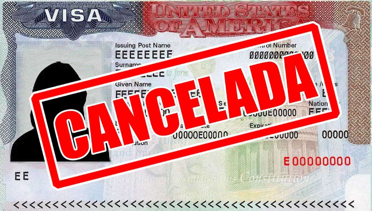 Pigott señaló que la actividad delictiva constituye la principal causa de las cancelaciones.