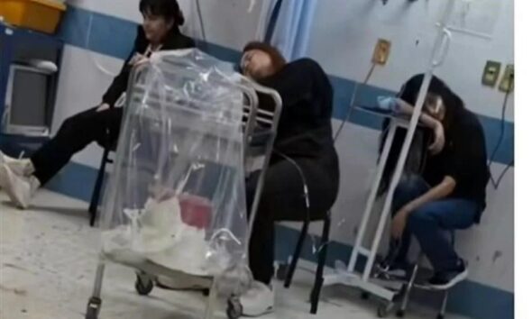 Los afectados presentaron principalmente dolor abdominal, diarrea, vómito y febrícula, síntomas compatibles con una infección gastrointestinal